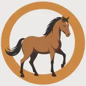 2026年属马人的全年运势详解，42年属马人终身寿命多长