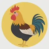 属鸡的今年70几岁是哪一年的：属鸡的今年70几岁了