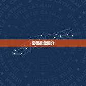 紫薇合婚配对怎么看(如何通过紫薇星盘解读婚姻)