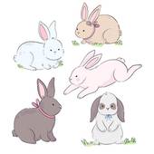 87年属兔一生转折点男(命运多舛如何破局)