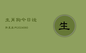 生肖狗今日运势星座网(20240607)