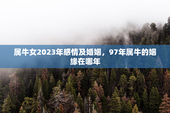 属牛女2023年感情及婚姻，97年属牛的姻缘在哪年