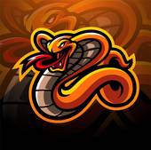 53年属蛇的是什么命人(性格特点与运势解析)