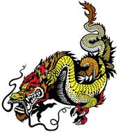 88年属龙十年运势及运程（88龙人十年运程详解）