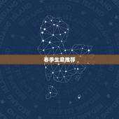 一年四季什么生意好做(稳赚不赔的创业选择)