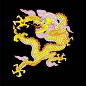 1988属龙男人婚姻状况（88龙男婚姻全景展示）