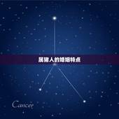 属猪今年婚姻1995(猪年婚姻运势大介绍)