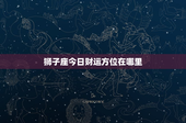狮子座今日财运方位在哪里：穿金色提升运势，投资风险回报双丰收