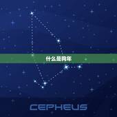 属狗的宝宝今年多大了(如何计算狗年宝宝的年龄)