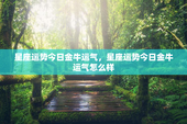 星座运势今日金牛运气，星座运势今日金牛运气怎么样