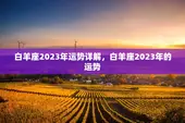 白羊座2023年运势详解，白羊座2023年的运势