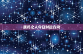 属鸡之人今日财运方向：投资方向揭秘！购物消费全指南
