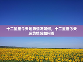 十二星座今天运势情况如何，十二星座今天运势情况如何看