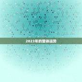 2023年运势怎么样(介绍未来的幸运之路)