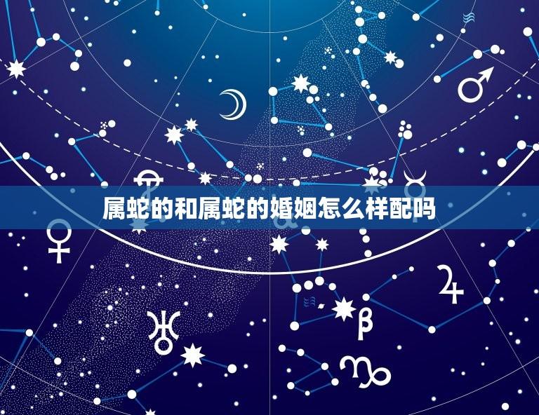 属蛇的和属蛇的婚姻怎么样配吗(两蛇相遇缘分还是劫数) 第1张 属蛇的和属蛇的婚姻怎么样配吗(两蛇相遇缘分还是劫数) 第1张